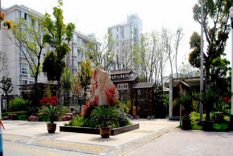 上農麗都